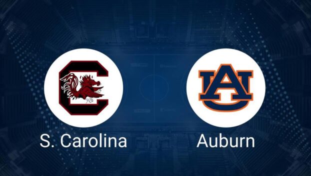 South Carolina vs. Auburn Basketball Tickets - Saturday, January 11